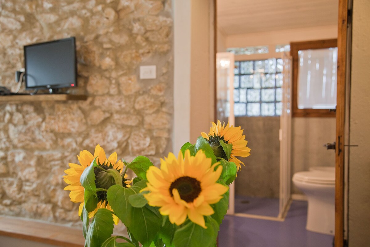 Family run Winery in Chianti standard room Loggia