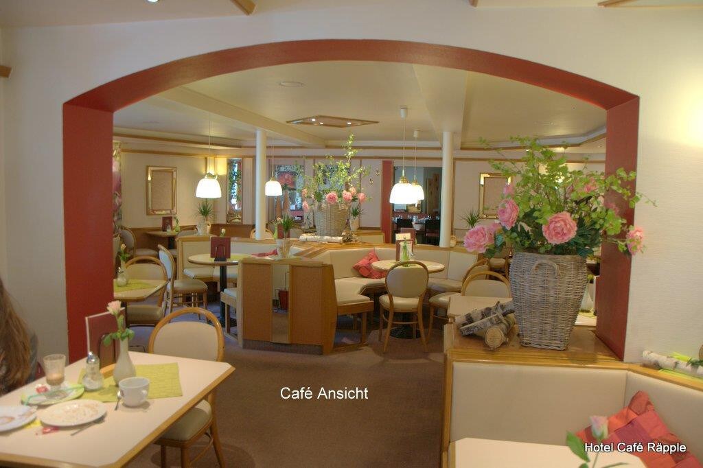 Hotel-Garni Café Räpple ， （ Bad Peterstal-Griesbach ） ，豪华双人客房2 ， 45平方米，独立客厅和卧室