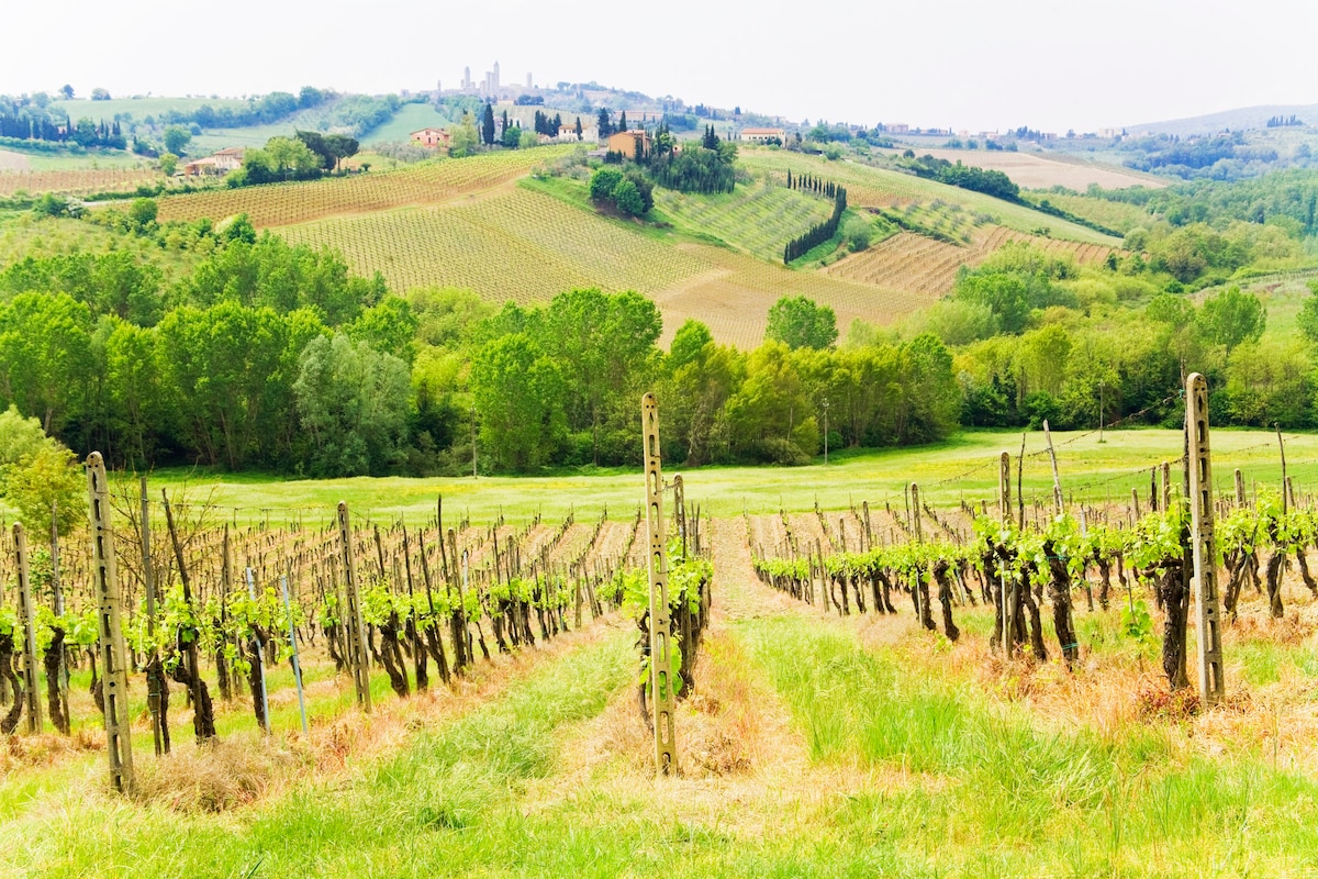 agriturismo SanGimignano的舒适公寓