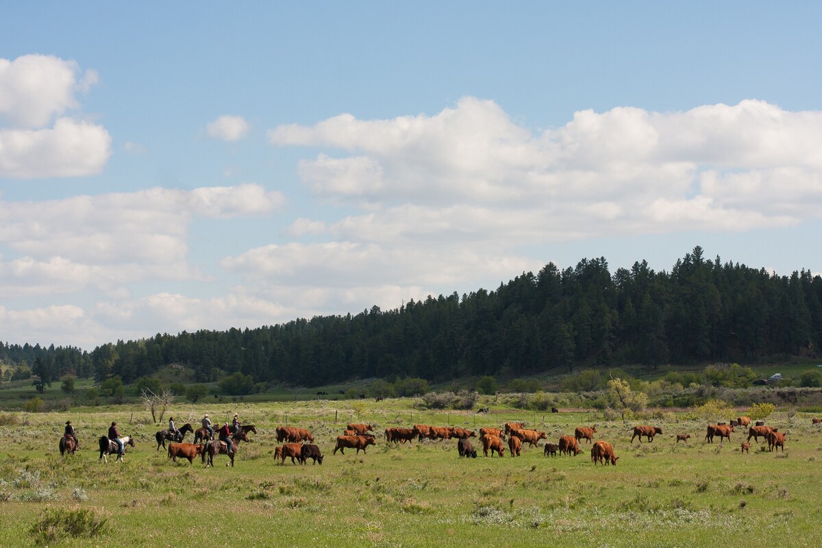 Kara Creek Ranch