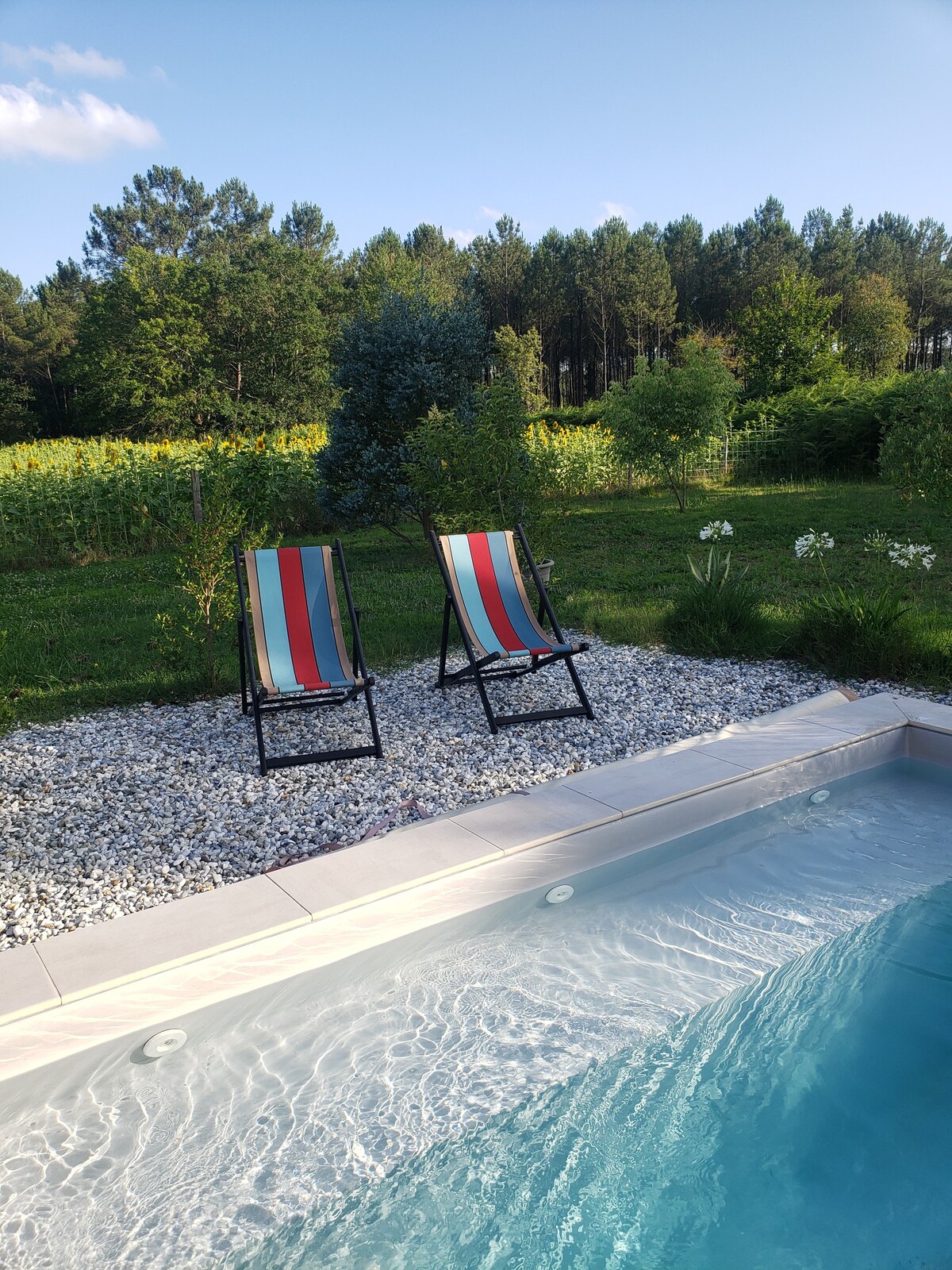 Belle villa lumineuse avec piscine, vue sur nature