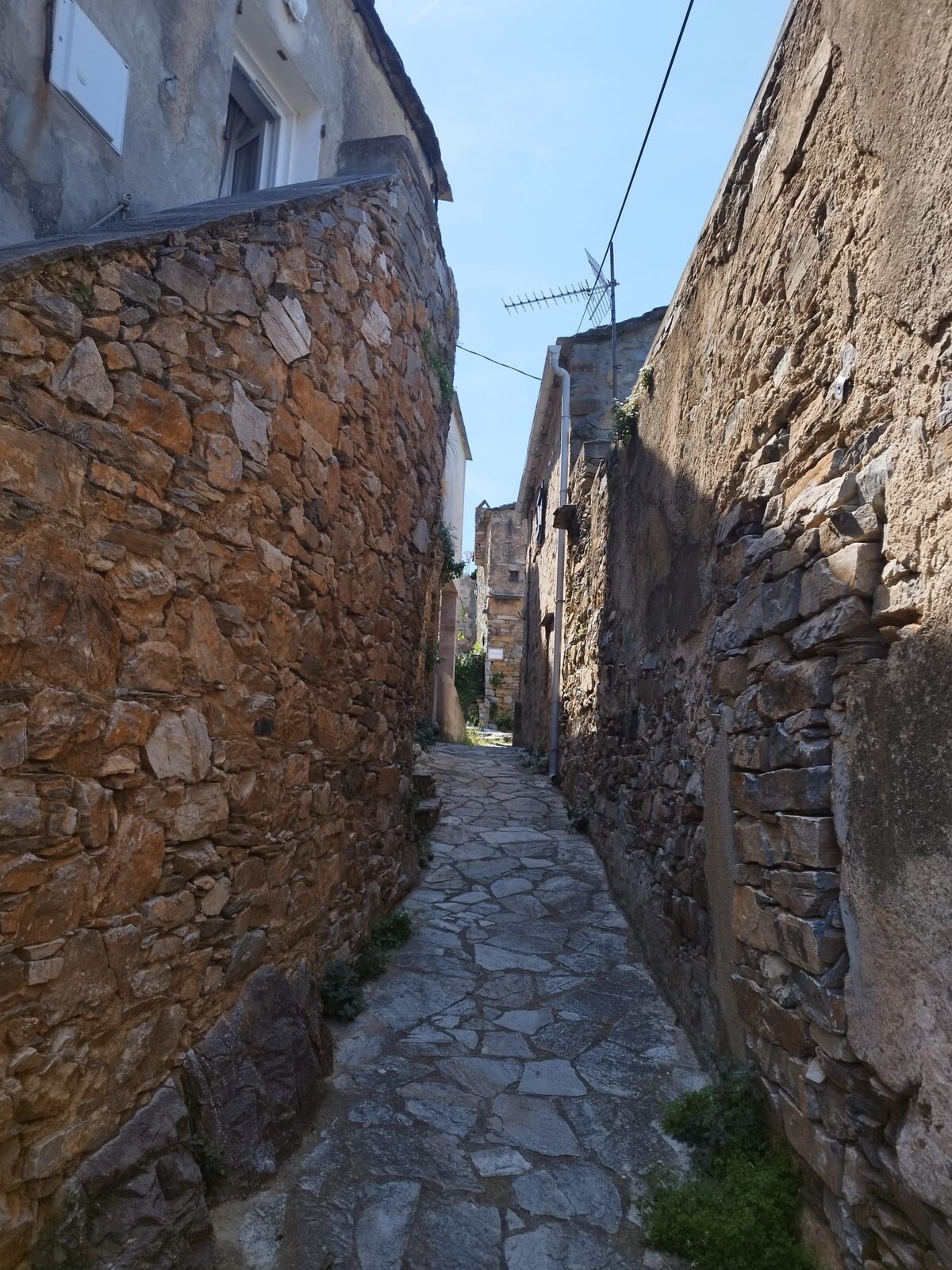 Studio dans la roche