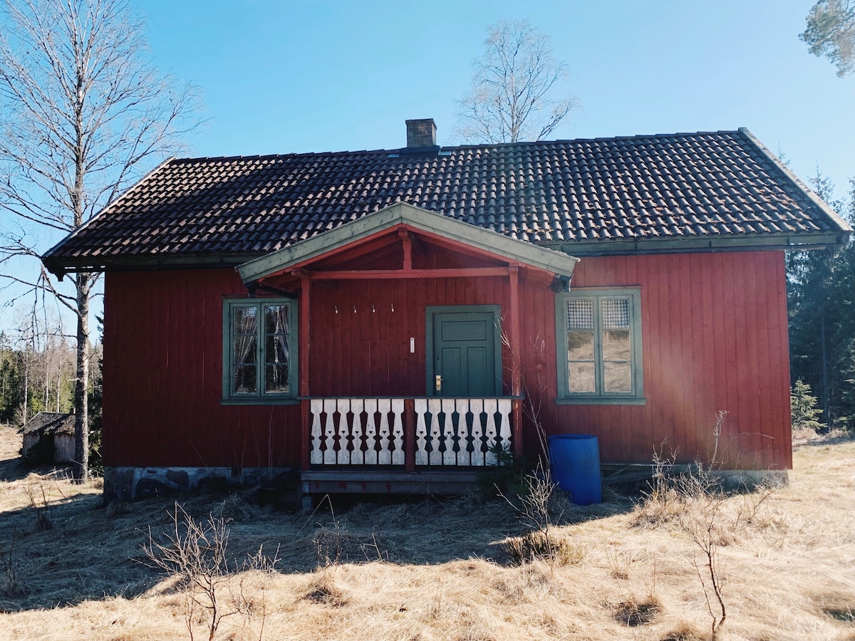 在森林中部设置小木屋-距离奥斯陆市中心仅1小时路程
