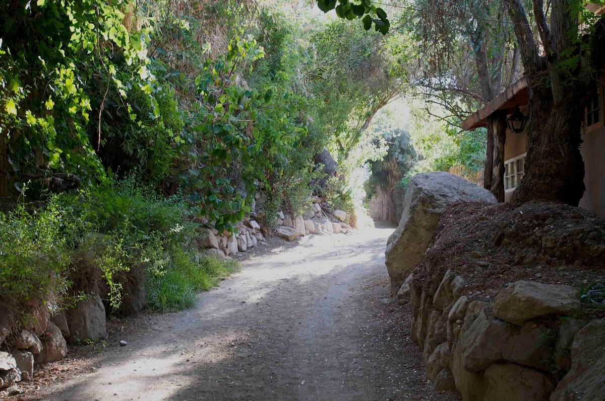 美丽的乡村小屋，有河流