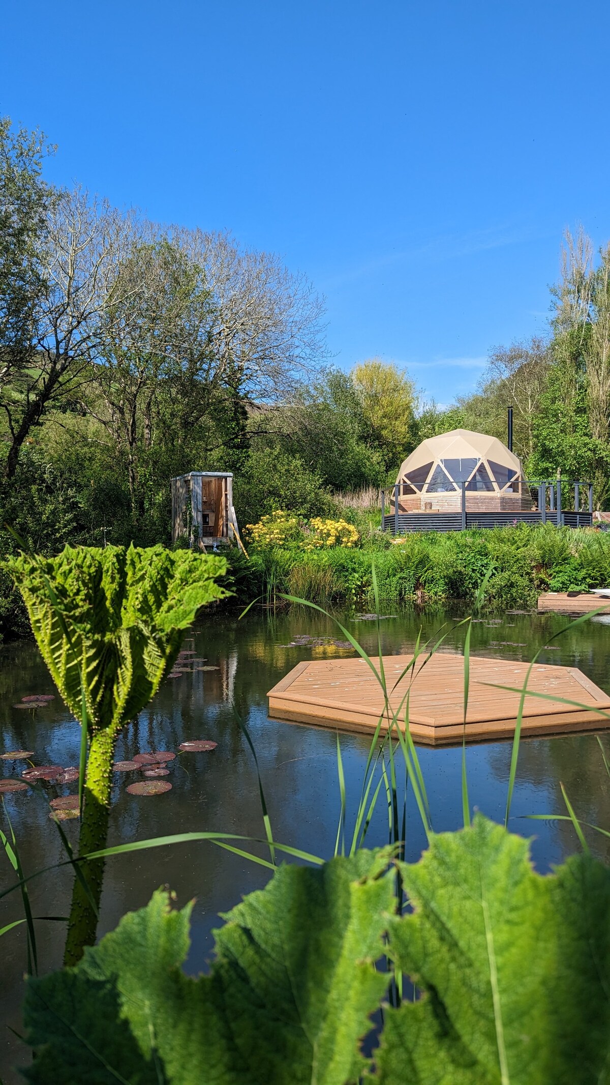 Wolf Valley- 'The Coracle' geodesic dome ~pondside