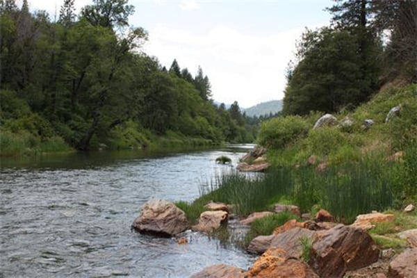 羽毛河温泉（ Feather River Hot Springs ）五个房车站点中的4个