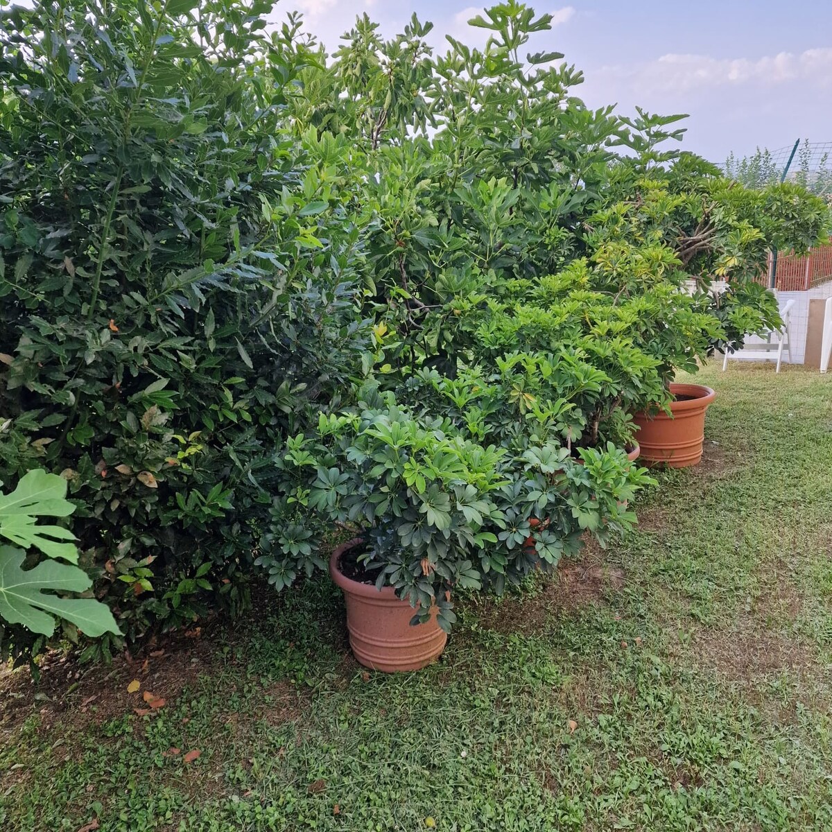 GiuliaHouse Il refugio nel Monferrato