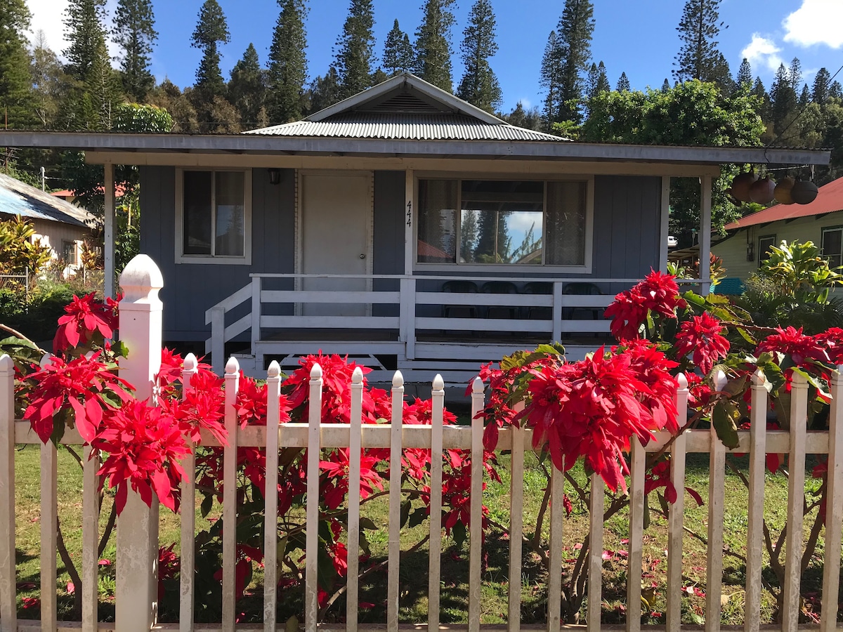 Lanai Gem 3卧室种植园靠近城镇广场