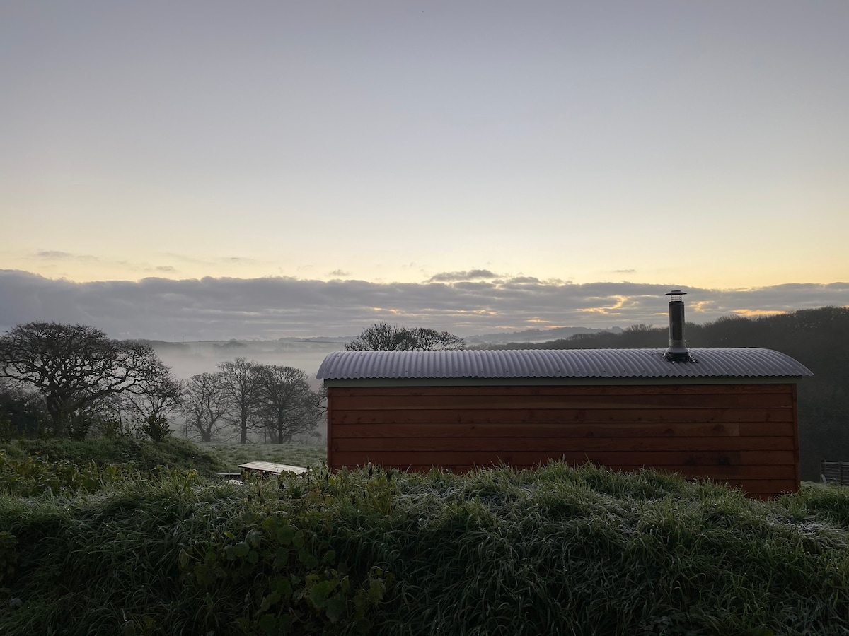 Private shepherd's hut + log burner, pets welcome