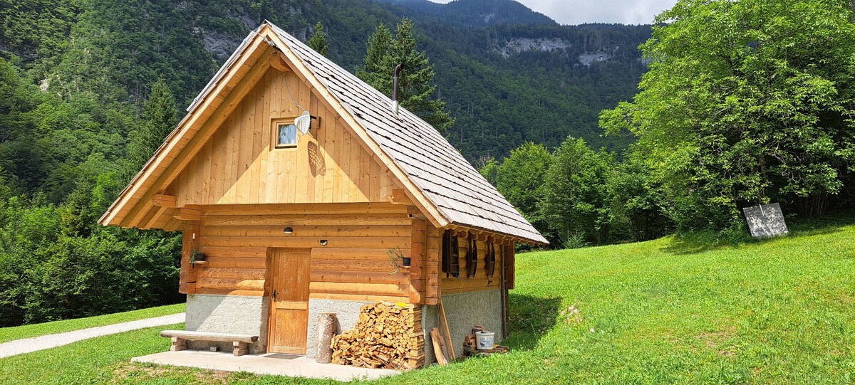 Wooden cottage Voje surrounded by nature
