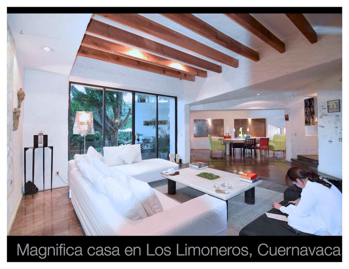 Limoneros可持续艺术房屋