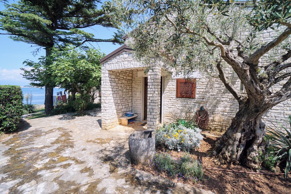 Villas ana monterosso - villa ana 3