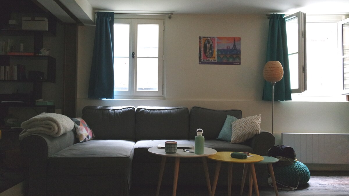 圣路易岛舒适安静的公寓