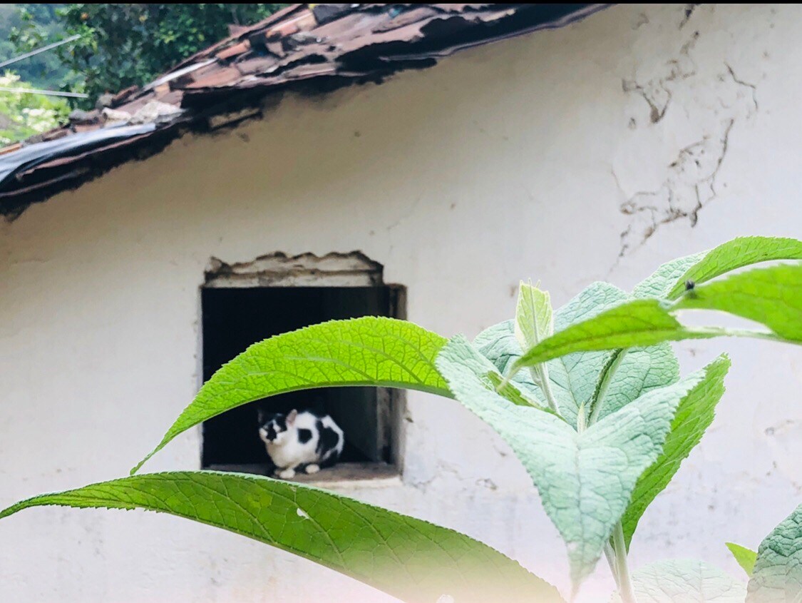 Casa Rural en Pueblo Selfie