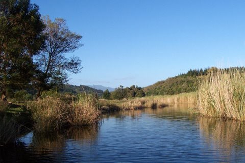 Bushbuck Camp Sedgefield