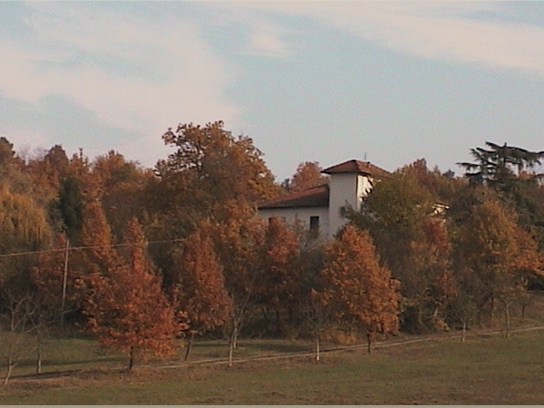 GREEN House