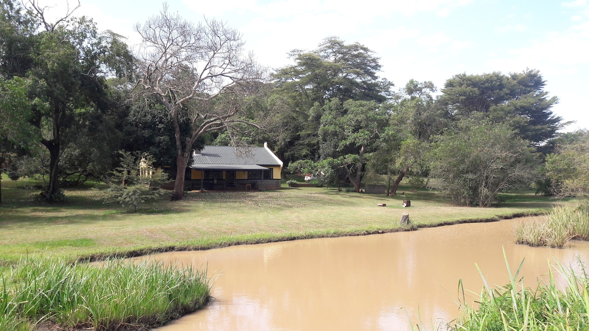 Kiboko小屋