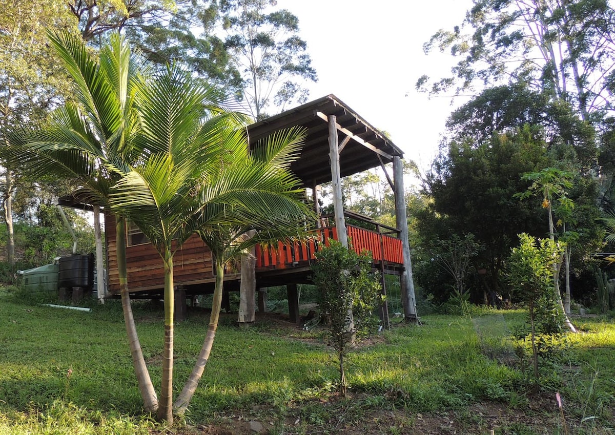 适合大自然爱好者的热带雨林生态小吃店。