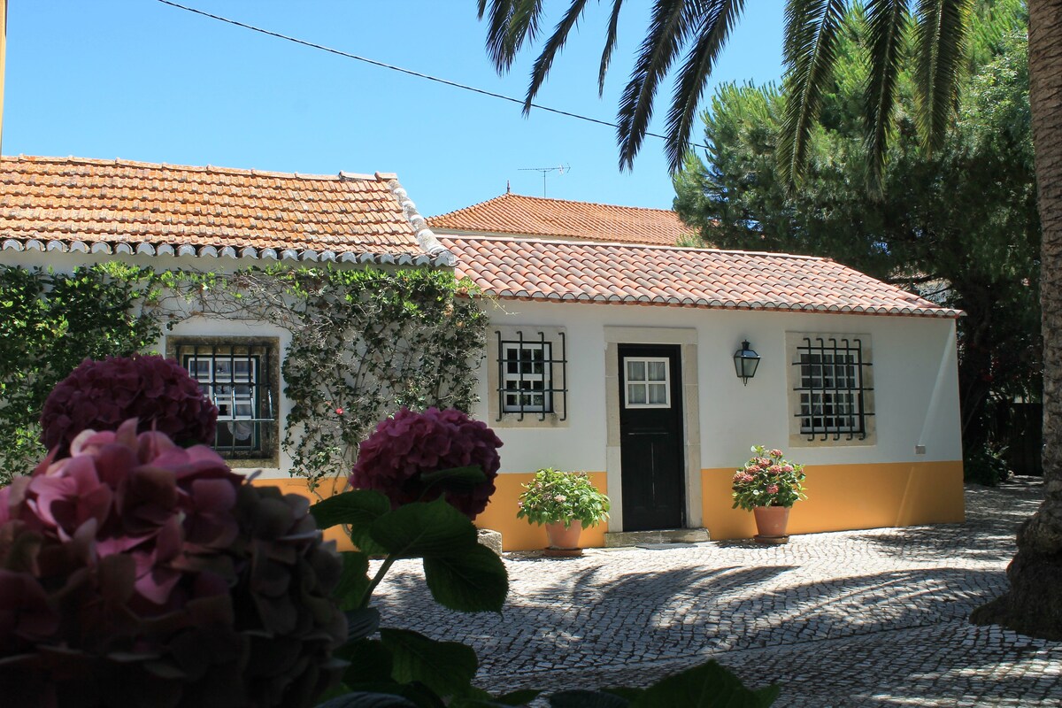可供您放松身心，探索葡萄牙中部