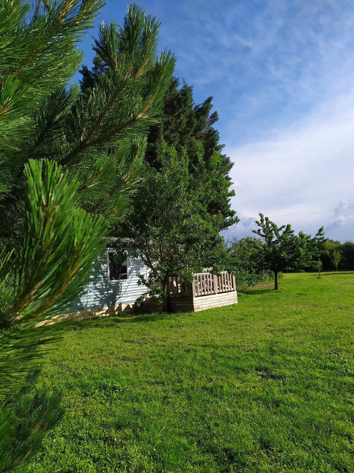 4人份肥皂🌳小屋。🌲