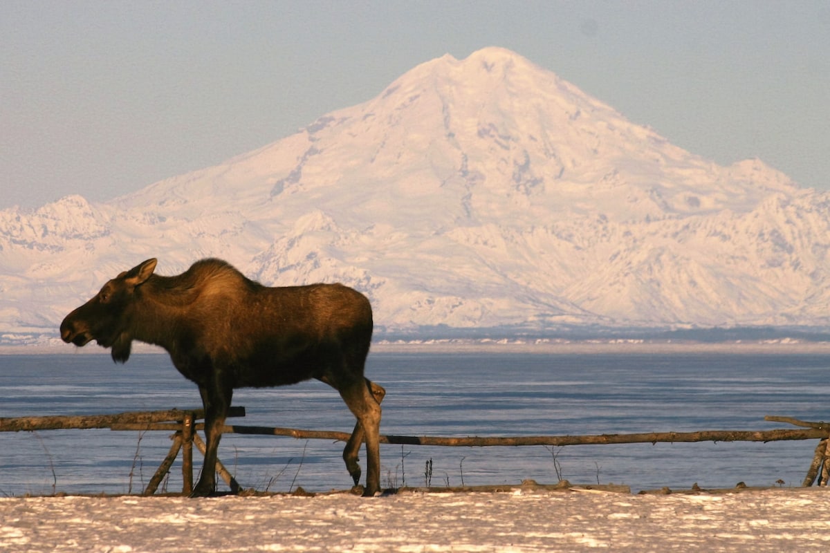 Clam Gulch Lodge - Up to 18 Guests)