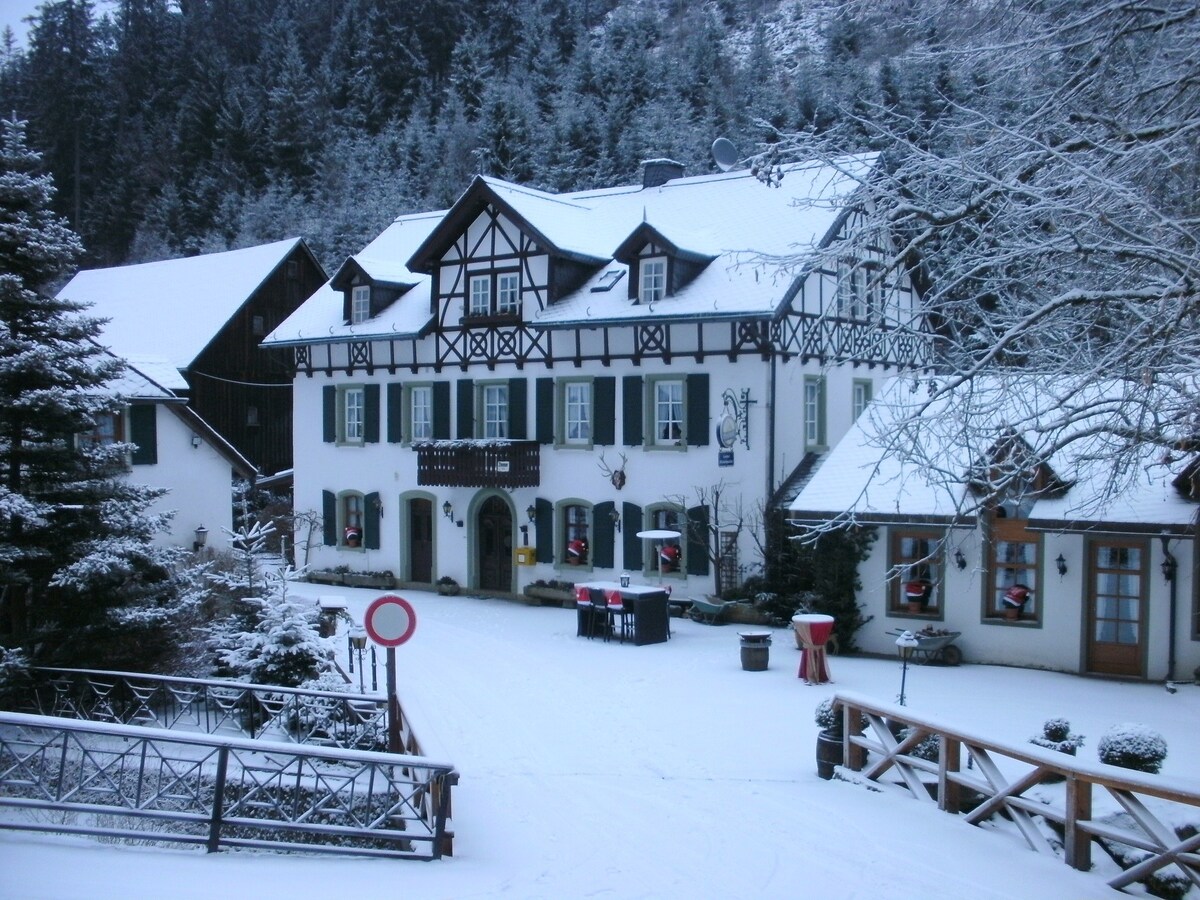 Gasthof Bischofsmühle (Helmbrechts), Ferienwohnung mit Wohn- und Küchenbereich