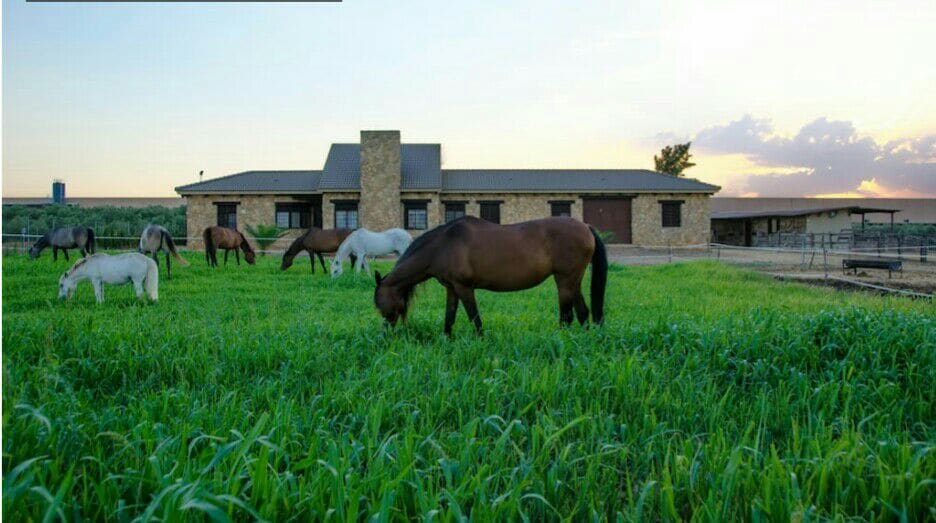 Casa Rural Ecuestre Carmen Martínez
Ideal grupos