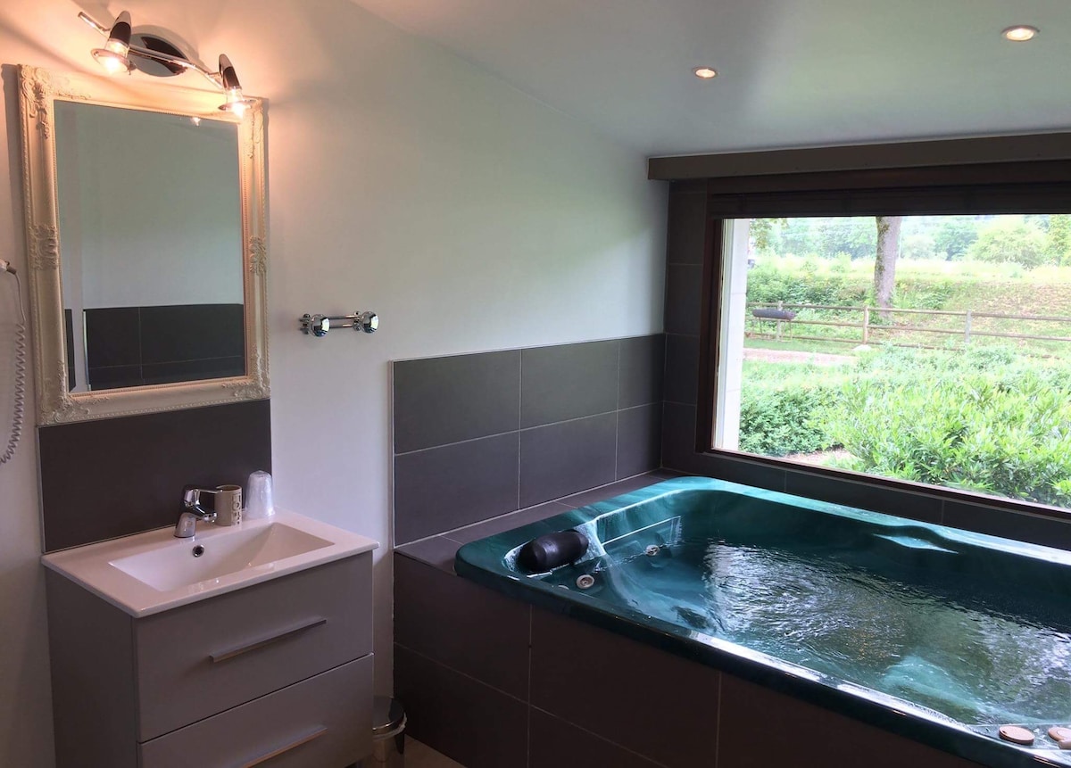 Chambre avec  spa jacuzzi  Privatif