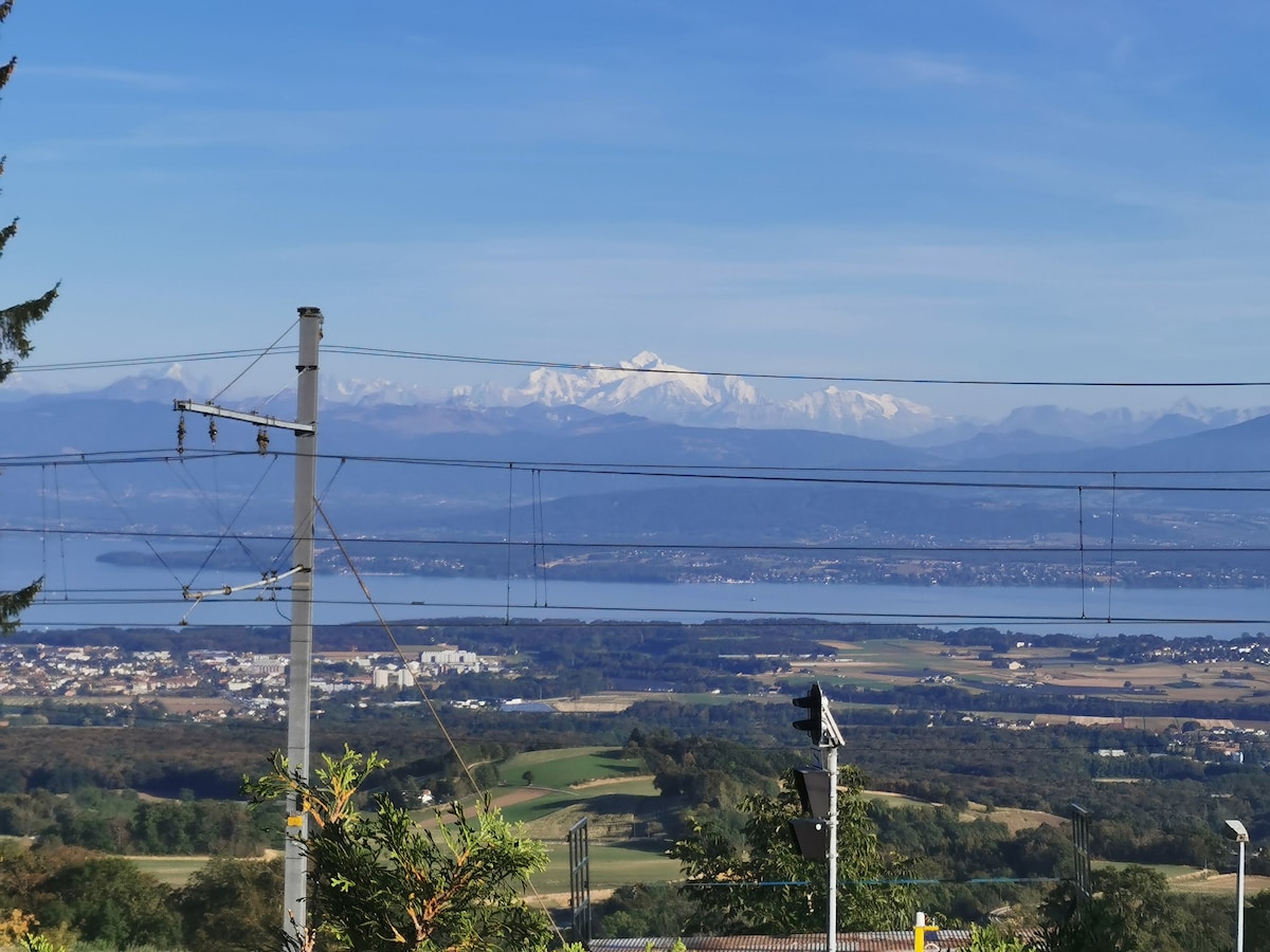 Chalet avec vue sur le Lac Léman et le Mont Blanc