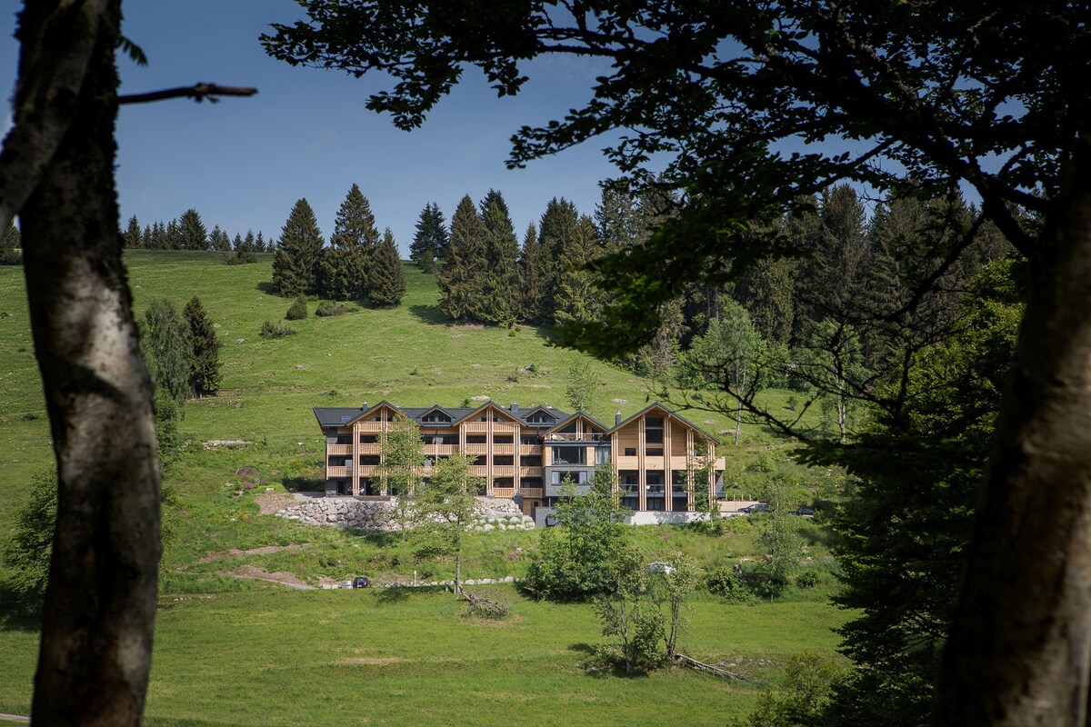 Black Forest Lodge ， （ Feldberg ） ，舒适小屋公寓