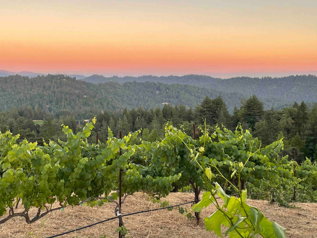 Vineyard Retreat with Expansive Mountain View