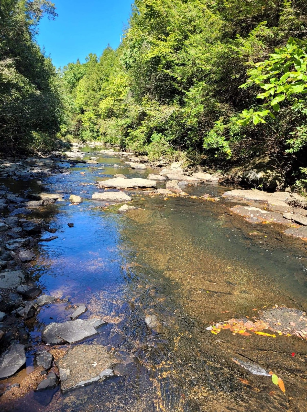 Firefly Creek *Waterfont cabin on over 5 acres *