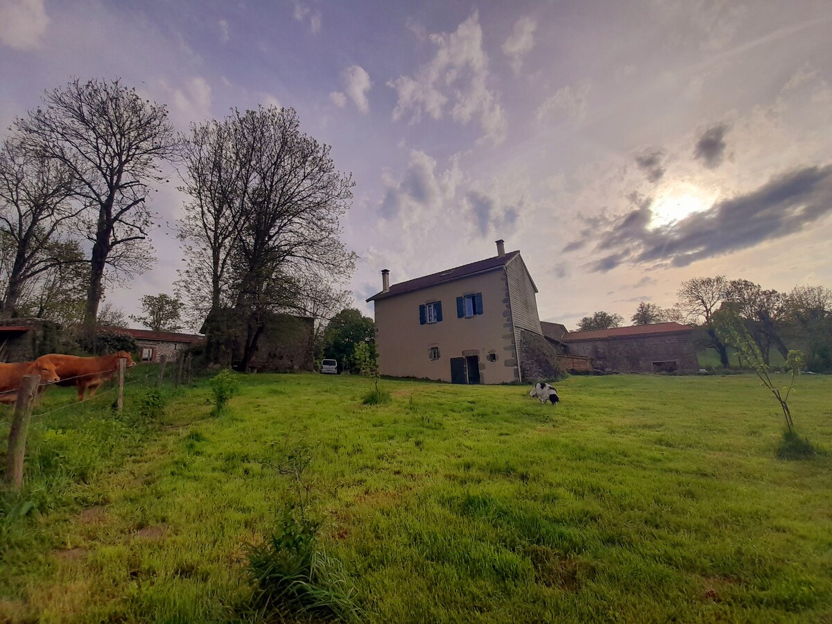 chaleureux gîte 6/8 personnes en nature