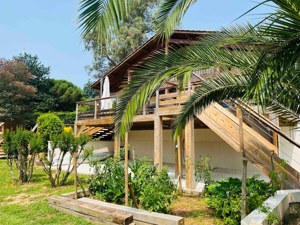 Un air tropical à Bordeaux