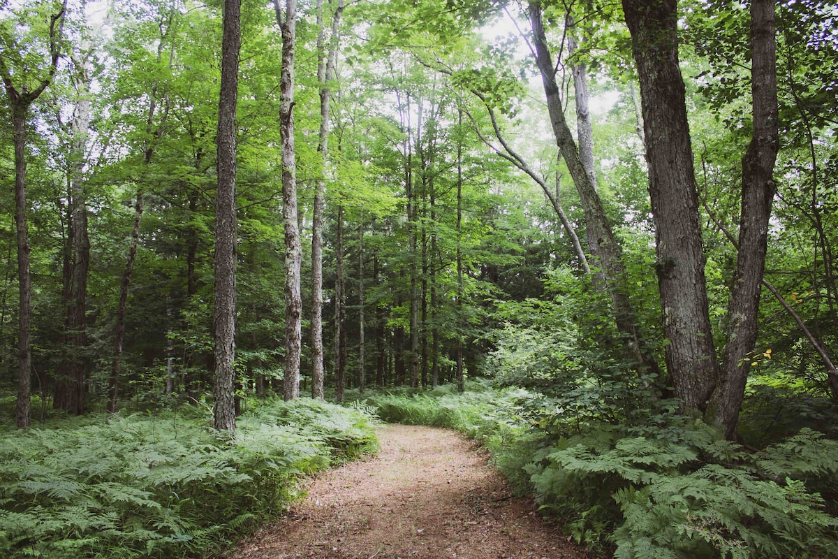 Private Entire Adirondack Campground