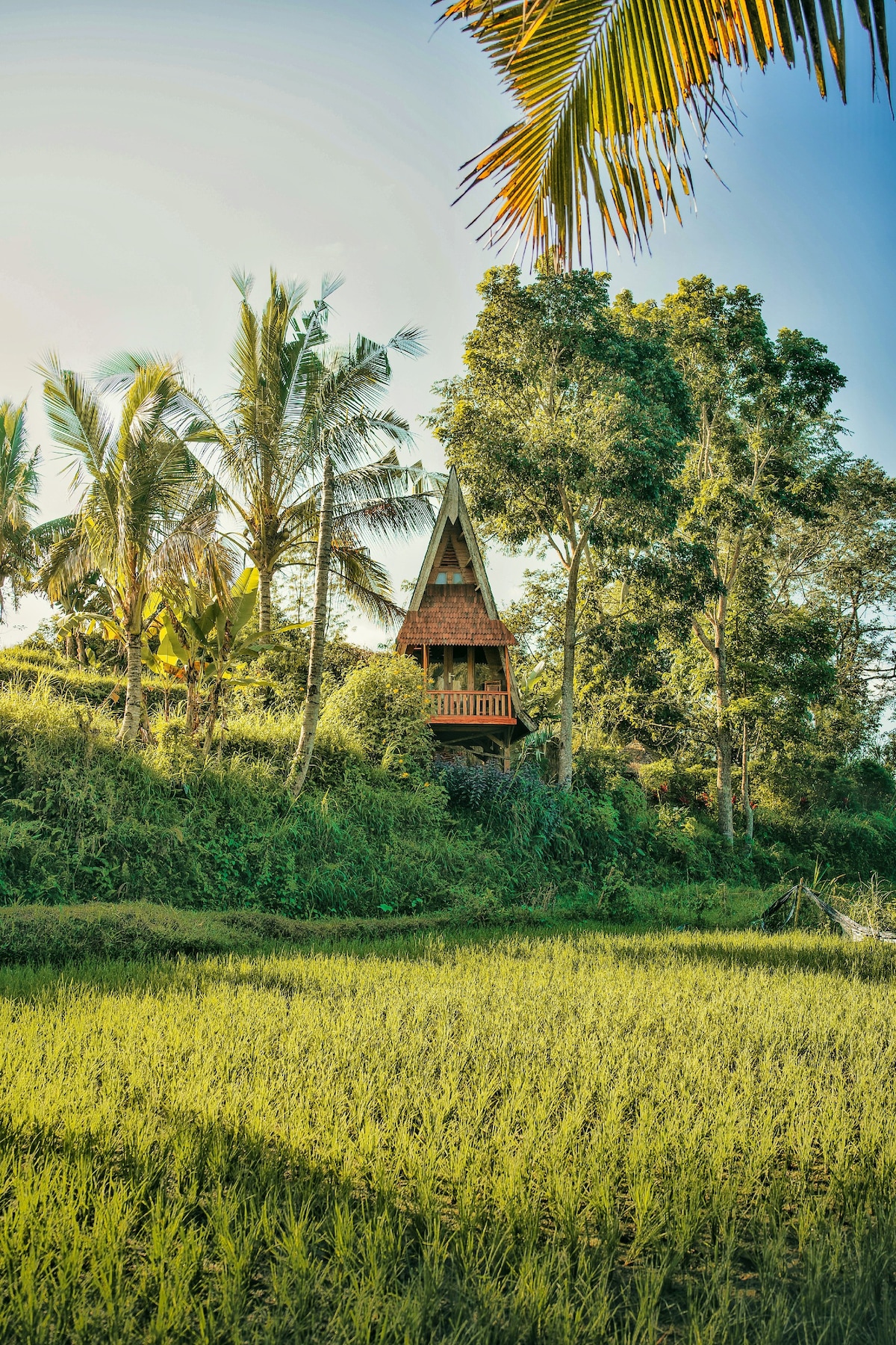 Unique Organic Farm House