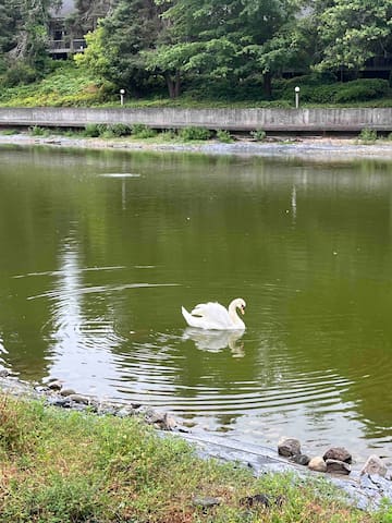 雷德蒙德的民宿