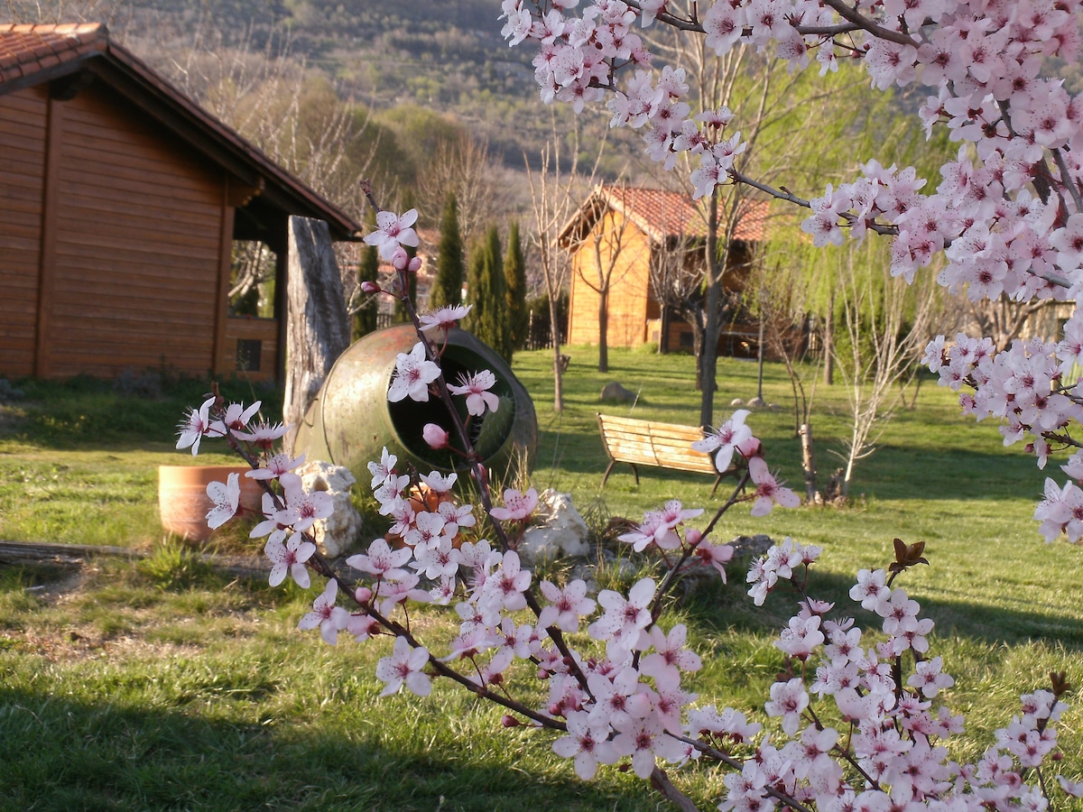 Wooden house in Valle del Jerte