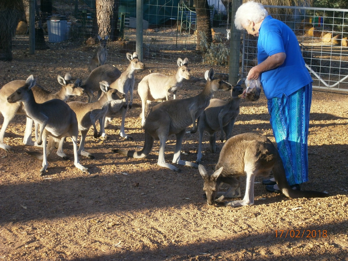 Wildlife Retreat大床房