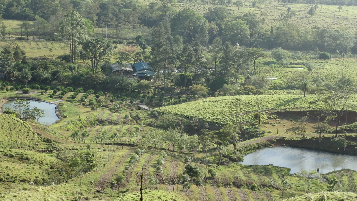 Malekus Mountain Lodge