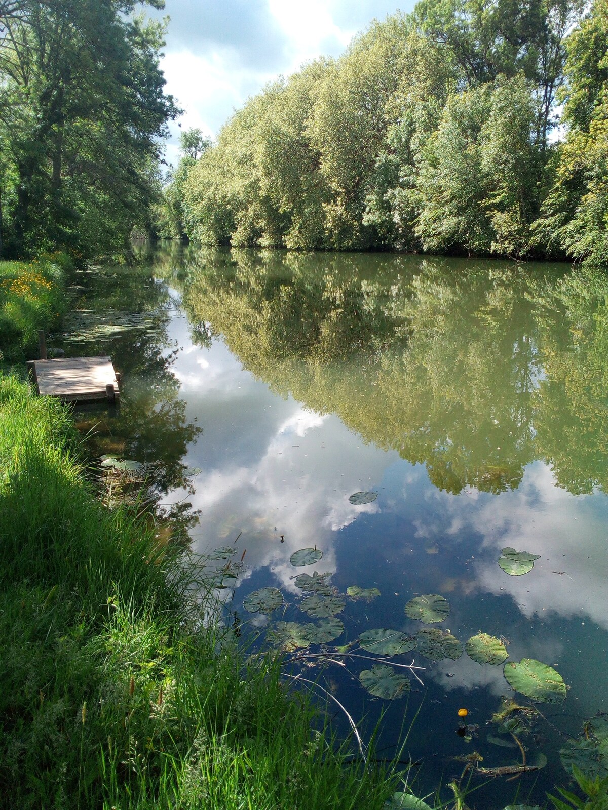 Roulotte au bord de l'eau à Candes st Martin