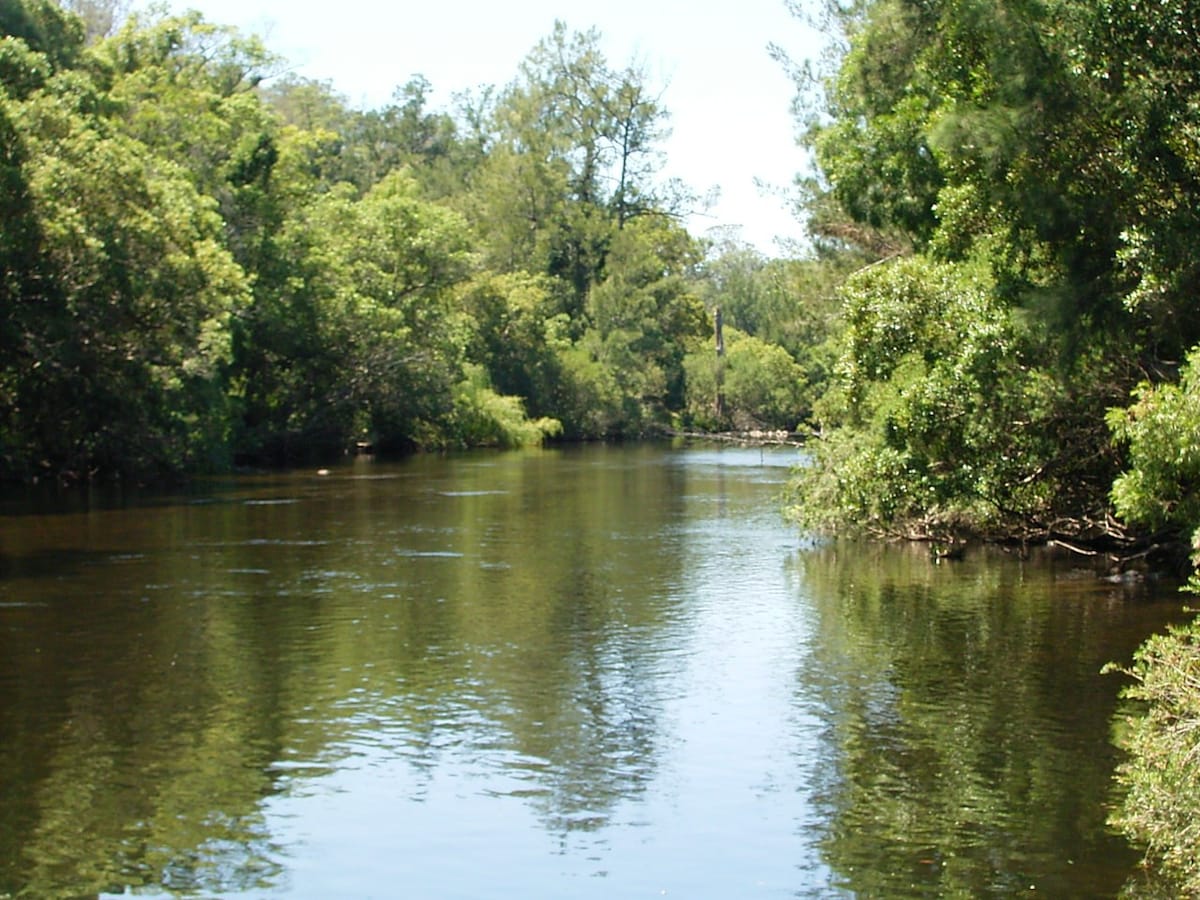 Barrington River Water Gums Retreat