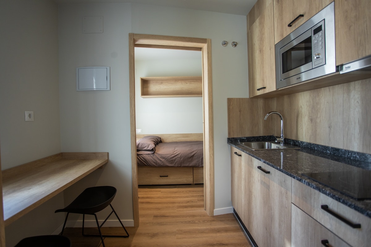 带卫生间和厨房的双卧室公寓