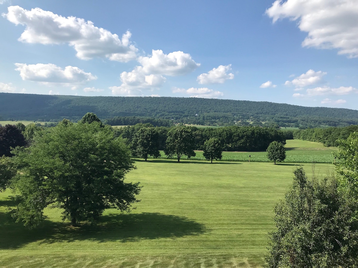 宾夕法尼亚州博尔斯堡房源，可欣赏尼塔尼山的美景