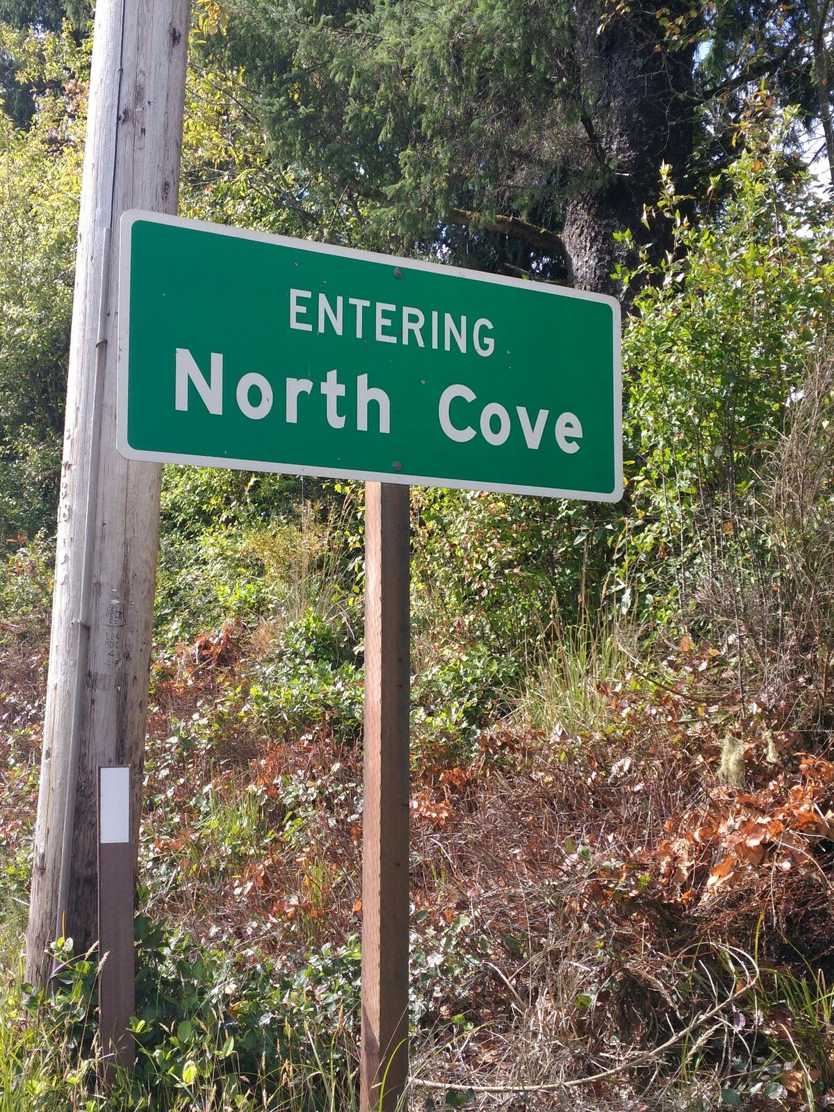 North Cove WA度假小屋Rentals Bay Nook