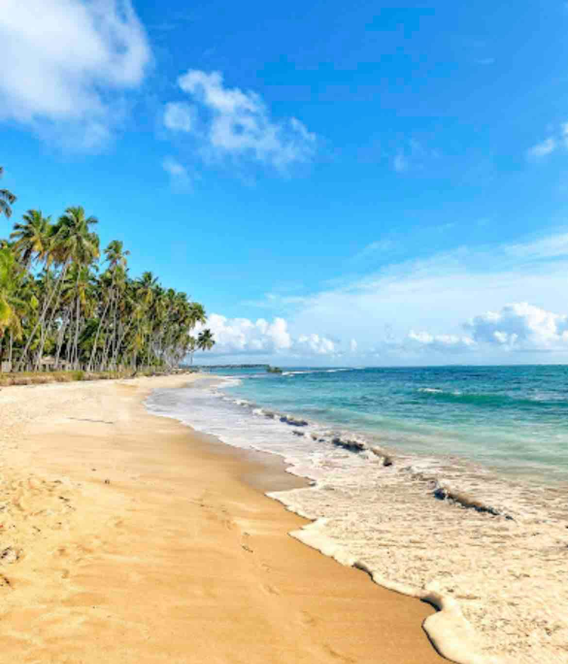 Praia dos Carneiros Apto. Beira Mar