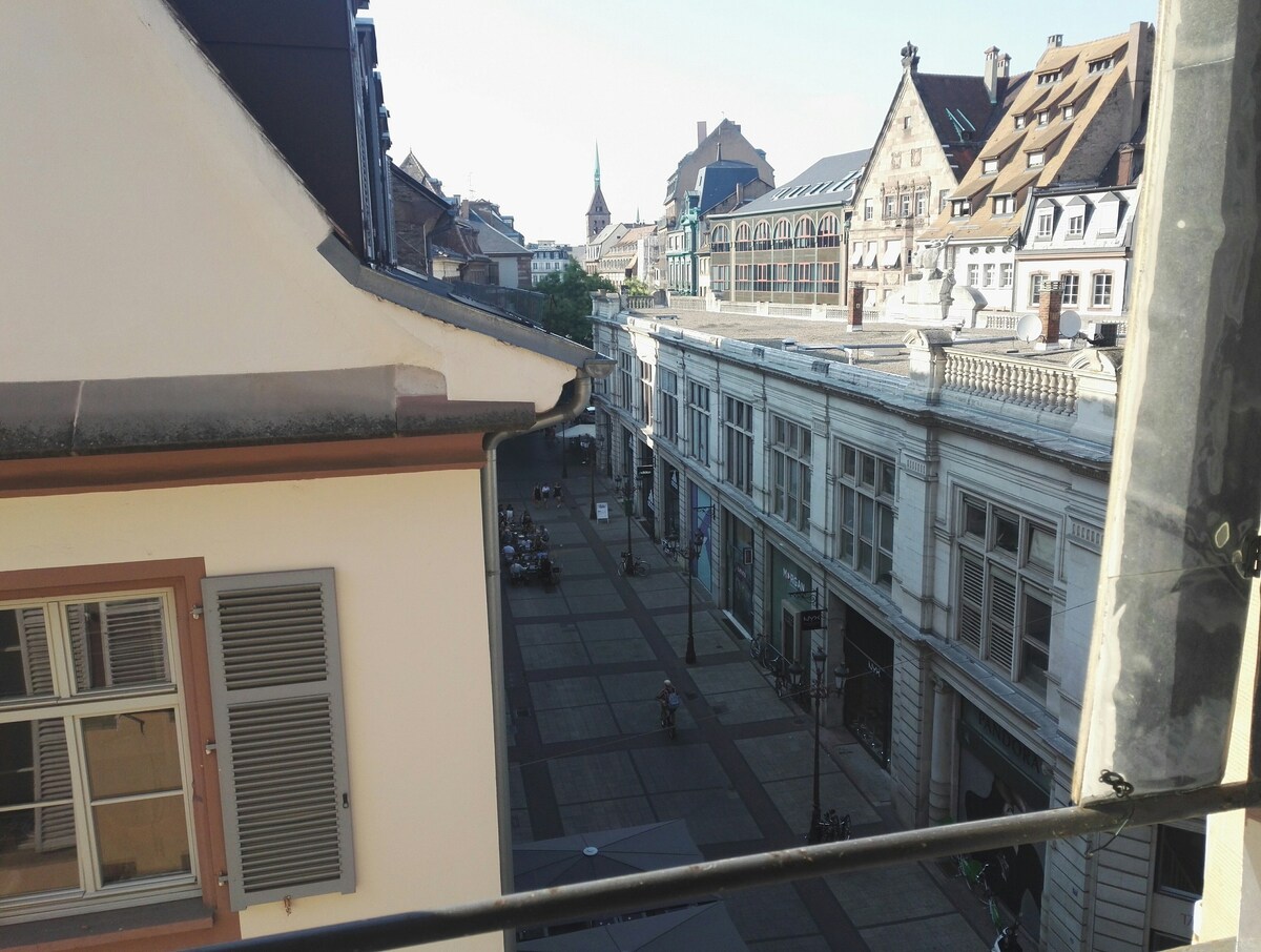 客房可欣赏斯特拉斯堡（ Strasbourg ）美景双人床中心