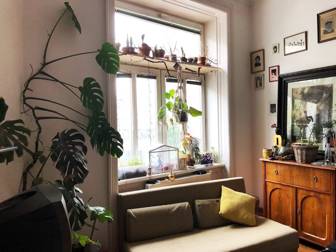 Charming Apartment, just a walk from the center