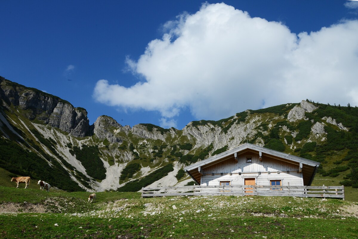 提罗利亚阿尔卑斯山的度假木屋