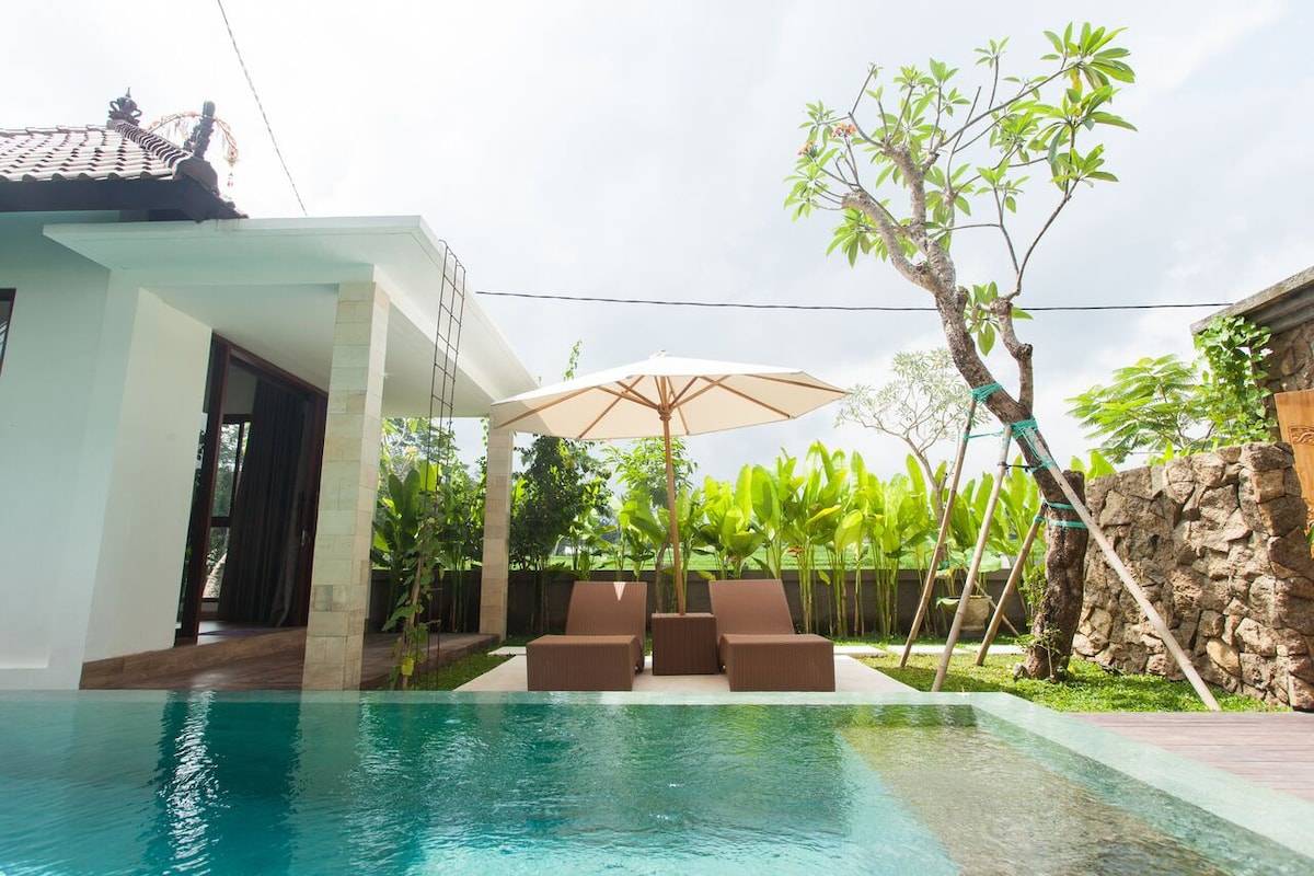 Aranata Ubud令人惊叹舒适的4卧室私人泳池别墅